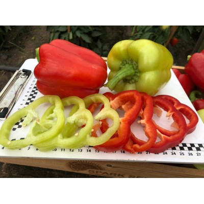 Семена перца сладкого Сплит F1 (ранний) кубический (500 нас.) Lark Seeds